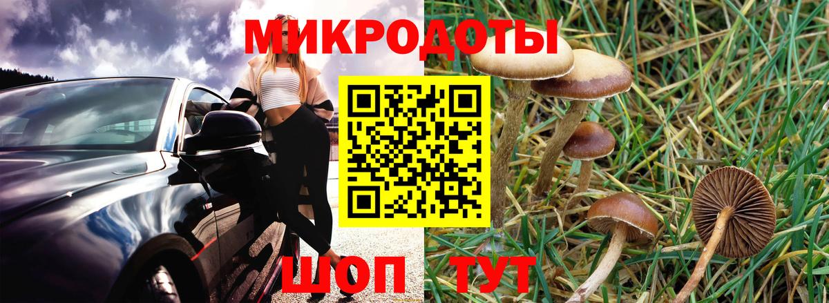 Галлюциногенные грибы Magic Shrooms Джанкой
