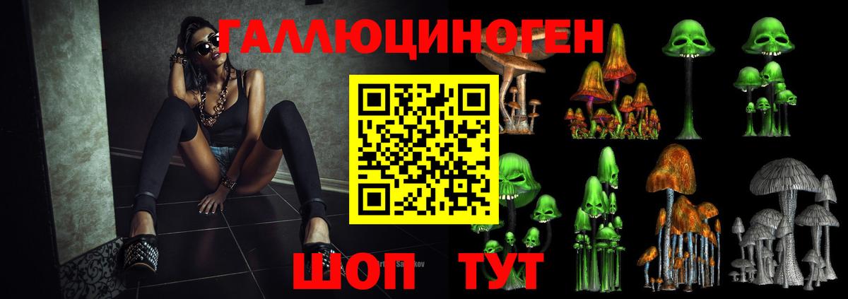 Джанкой  Псилоцибиновые грибы Psilocybe  Вход с VPN 